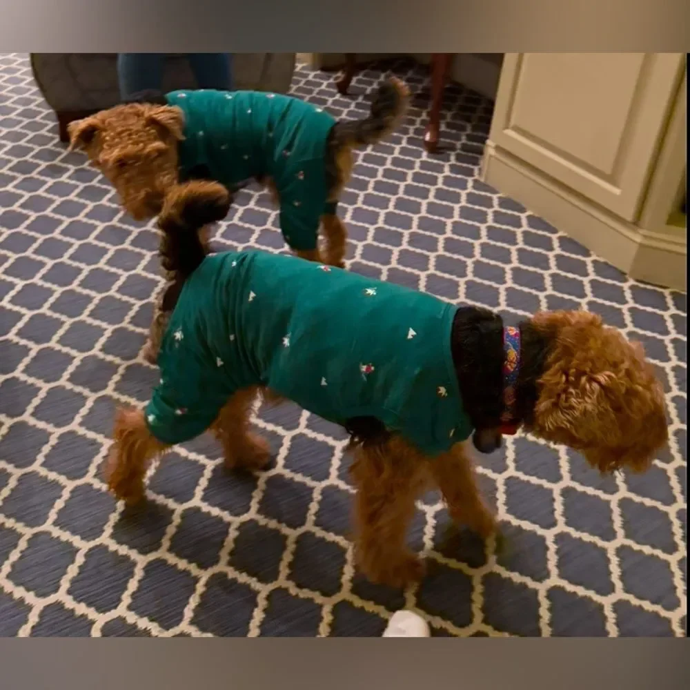 Polar Bear Print Jersey Holiday Family Dog Pajamas - Wondershop™ Green‎ M